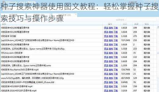 种子搜索神器使用图文教程：轻松掌握种子搜索技巧与操作步骤