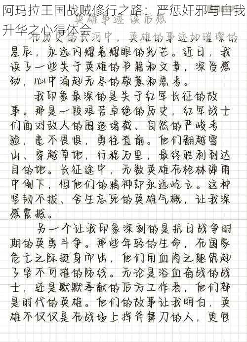 阿玛拉王国战贼修行之路：严惩奸邪与自我升华之心得体会