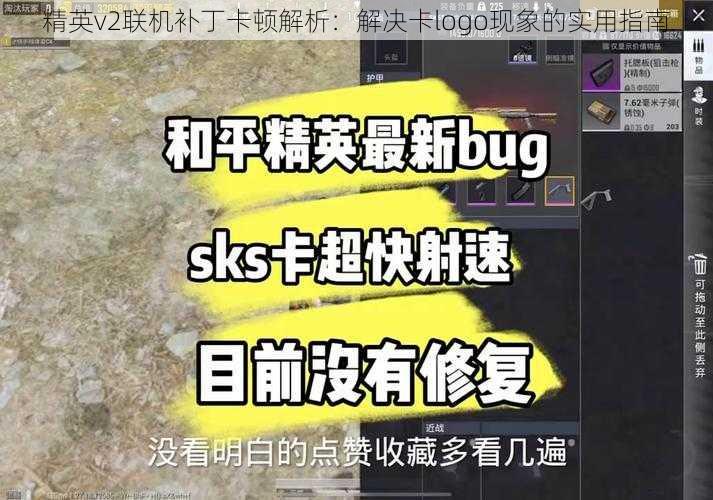 精英v2联机补丁卡顿解析：解决卡logo现象的实用指南