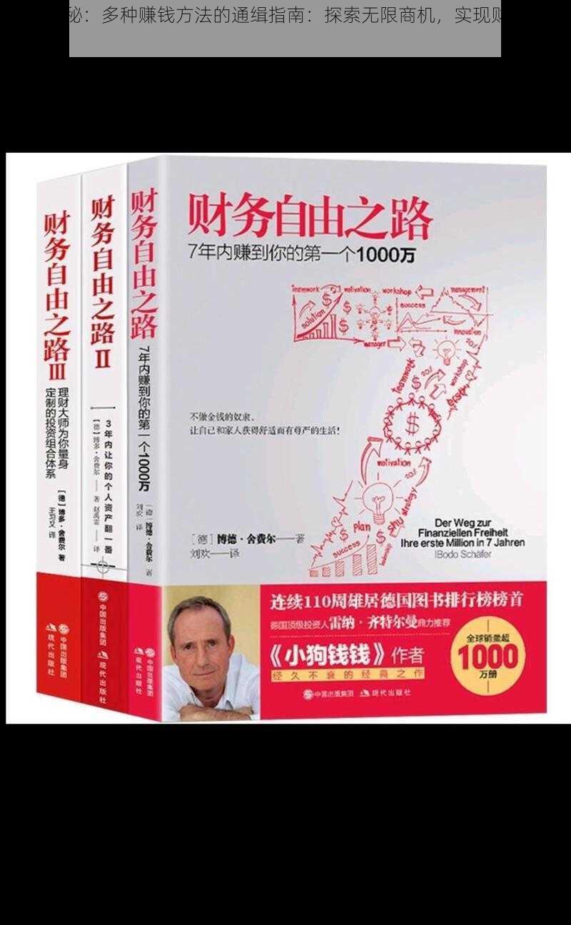 全面揭秘：多种赚钱方法的通缉指南：探索无限商机，实现财富自由之路