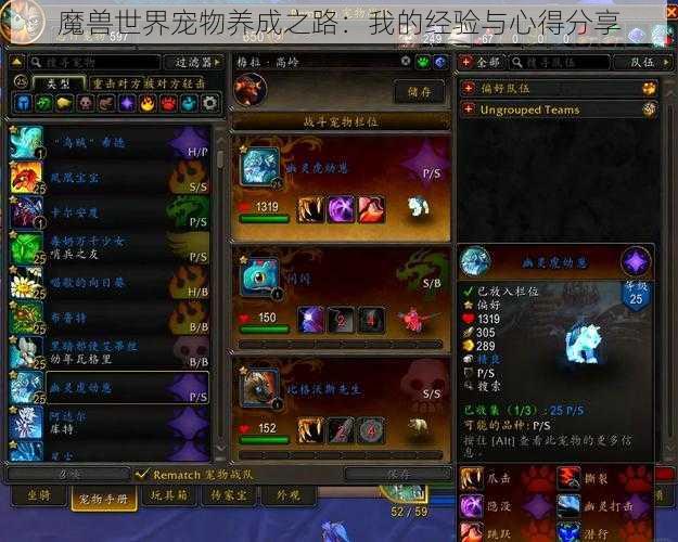 魔兽世界宠物养成之路：我的经验与心得分享