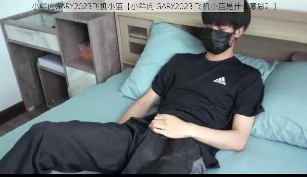 小鲜肉GARY2023飞机小蓝【小鲜肉 GARY2023 飞机小蓝是什么意思？】