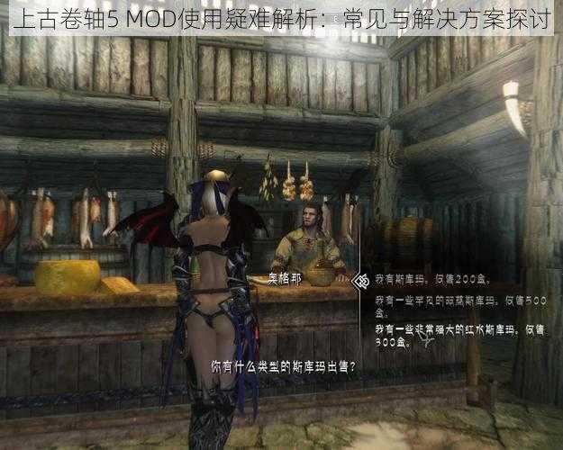 上古卷轴5 MOD使用疑难解析：常见与解决方案探讨