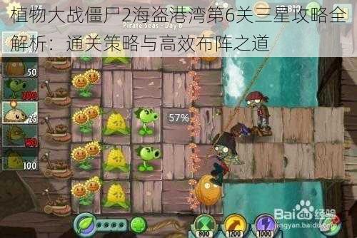 植物大战僵尸2海盗港湾第6关三星攻略全解析：通关策略与高效布阵之道