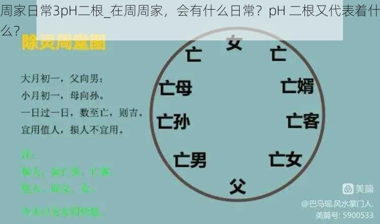 周家日常3pH二根_在周周家，会有什么日常？pH 二根又代表着什么？