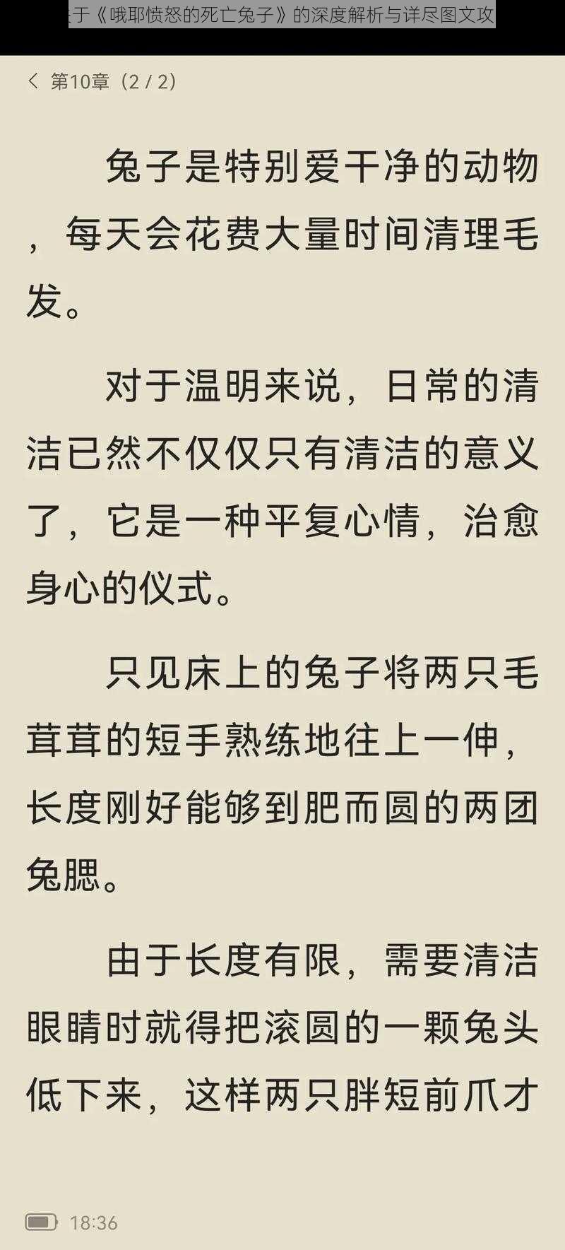 关于《哦耶愤怒的死亡兔子》的深度解析与详尽图文攻略