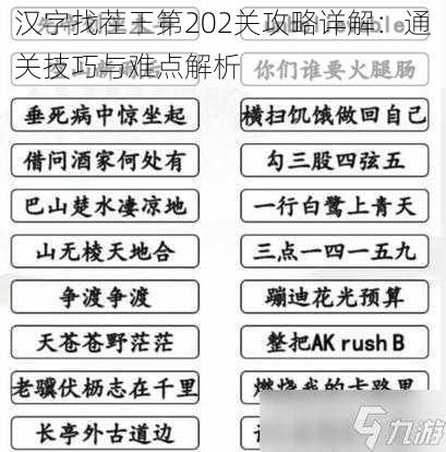 汉字找茬王第202关攻略详解：通关技巧与难点解析