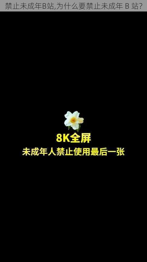 禁止未成年B站,为什么要禁止未成年 B 站？