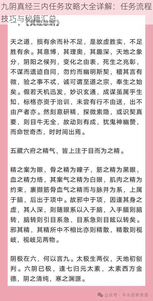 九阴真经三内任务攻略大全详解：任务流程技巧与秘籍汇总