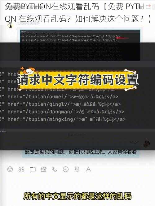 免费PYTHON在线观看乱码【免费 PYTHON 在线观看乱码？如何解决这个问题？】