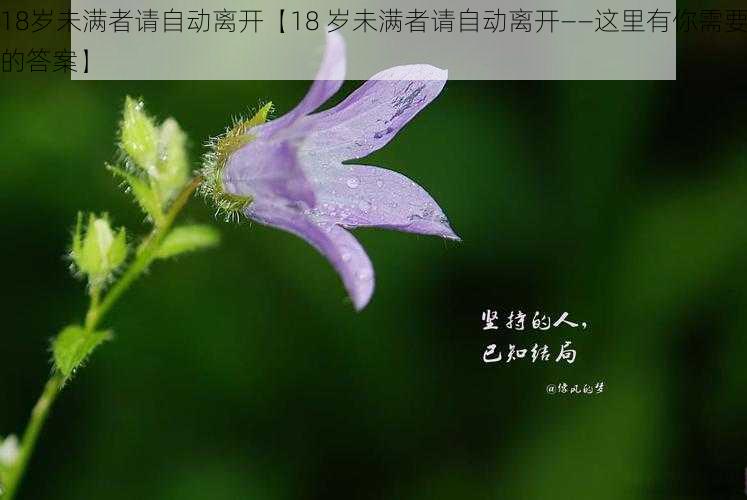 18岁未满者请自动离开【18 岁未满者请自动离开——这里有你需要的答案】