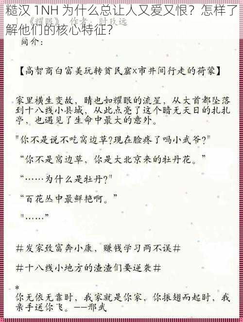 糙汉 1NH 为什么总让人又爱又恨？怎样了解他们的核心特征？