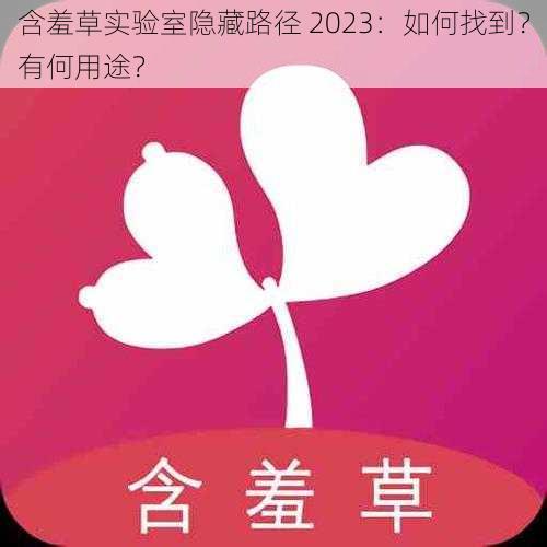 含羞草实验室隐藏路径 2023：如何找到？有何用途？