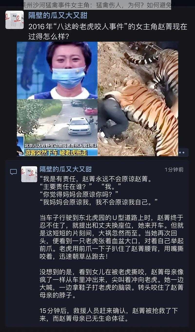 莱州沙河猛禽事件女主角：猛禽伤人，为何？如何避免？