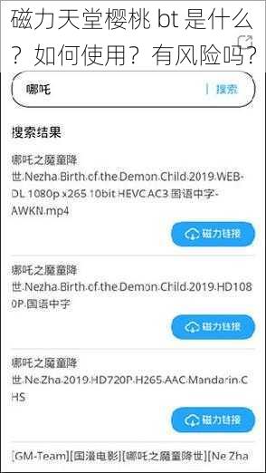 磁力天堂樱桃 bt 是什么？如何使用？有风险吗？