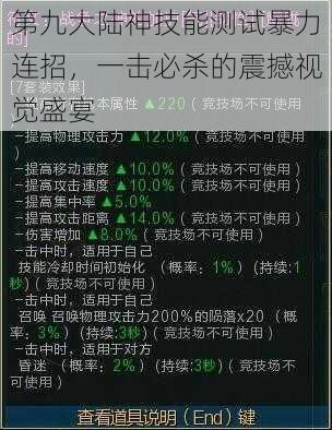 第九大陆神技能测试暴力连招，一击必杀的震撼视觉盛宴