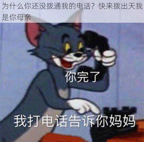 为什么你还没拨通我的电话？快来拨出天我是你母亲