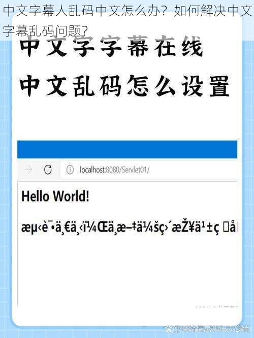 中文字幕人乱码中文怎么办？如何解决中文字幕乱码问题？