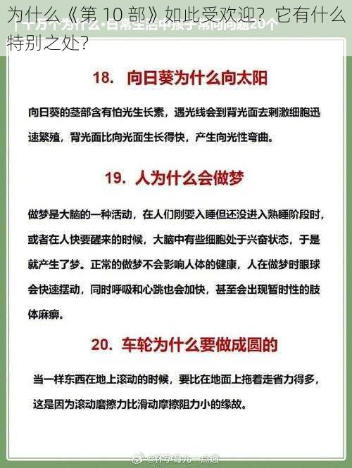 为什么《第 10 部》如此受欢迎？它有什么特别之处？