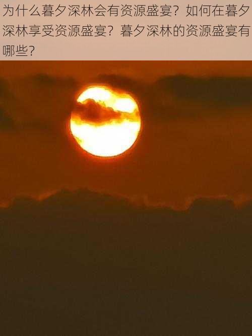 为什么暮夕深林会有资源盛宴？如何在暮夕深林享受资源盛宴？暮夕深林的资源盛宴有哪些？