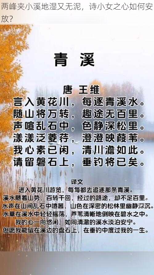 两峰夹小溪地湿又无泥，诗小女之心如何安放？