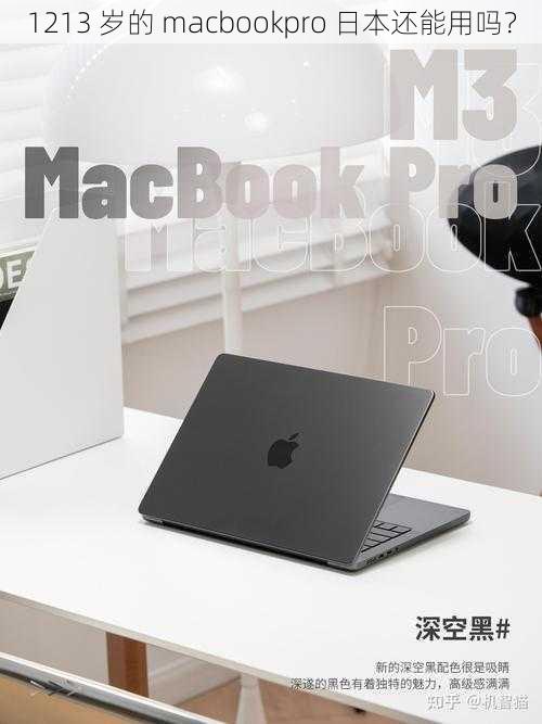 1213 岁的 macbookpro 日本还能用吗？