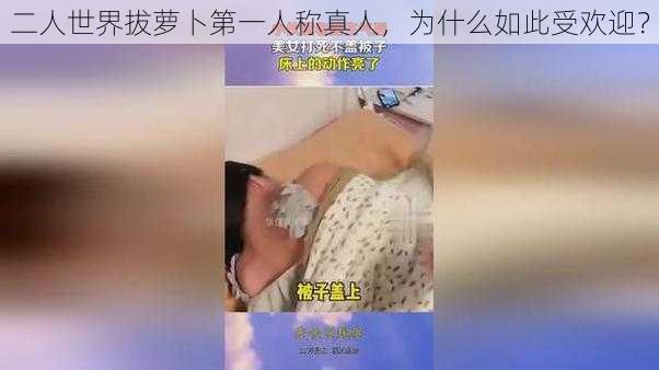 二人世界拔萝卜第一人称真人，为什么如此受欢迎？