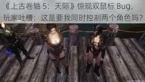 《上古卷轴 5：天际》惊现双鼠标 Bug，玩家吐槽：这是要我同时控制两个角色吗？