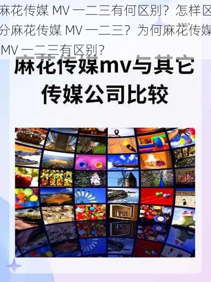 麻花传媒 MV 一二三有何区别？怎样区分麻花传媒 MV 一二三？为何麻花传媒 MV 一二三有区别？