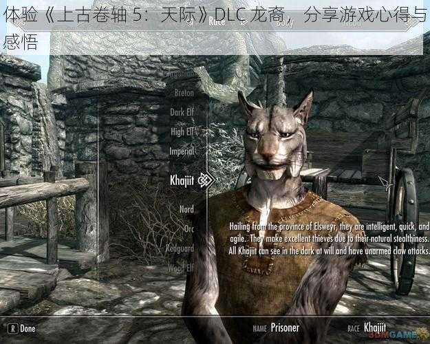 体验《上古卷轴 5：天际》DLC 龙裔，分享游戏心得与感悟