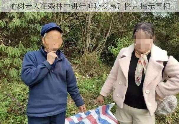 榆树老人在森林中进行神秘交易？图片揭示真相