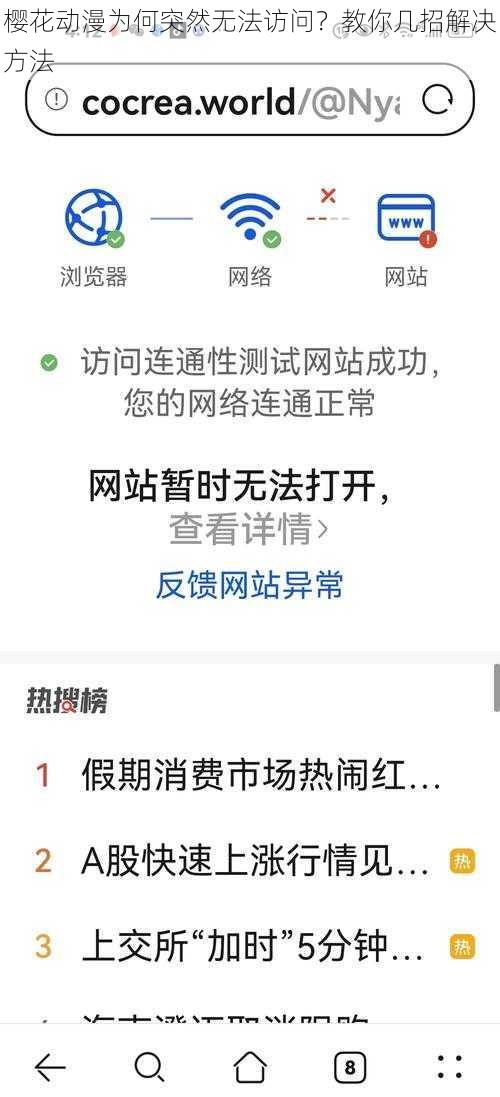 樱花动漫为何突然无法访问？教你几招解决方法