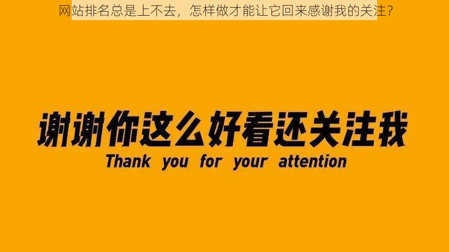 网站排名总是上不去，怎样做才能让它回来感谢我的关注？