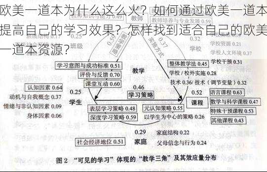 欧美一道本为什么这么火？如何通过欧美一道本提高自己的学习效果？怎样找到适合自己的欧美一道本资源？