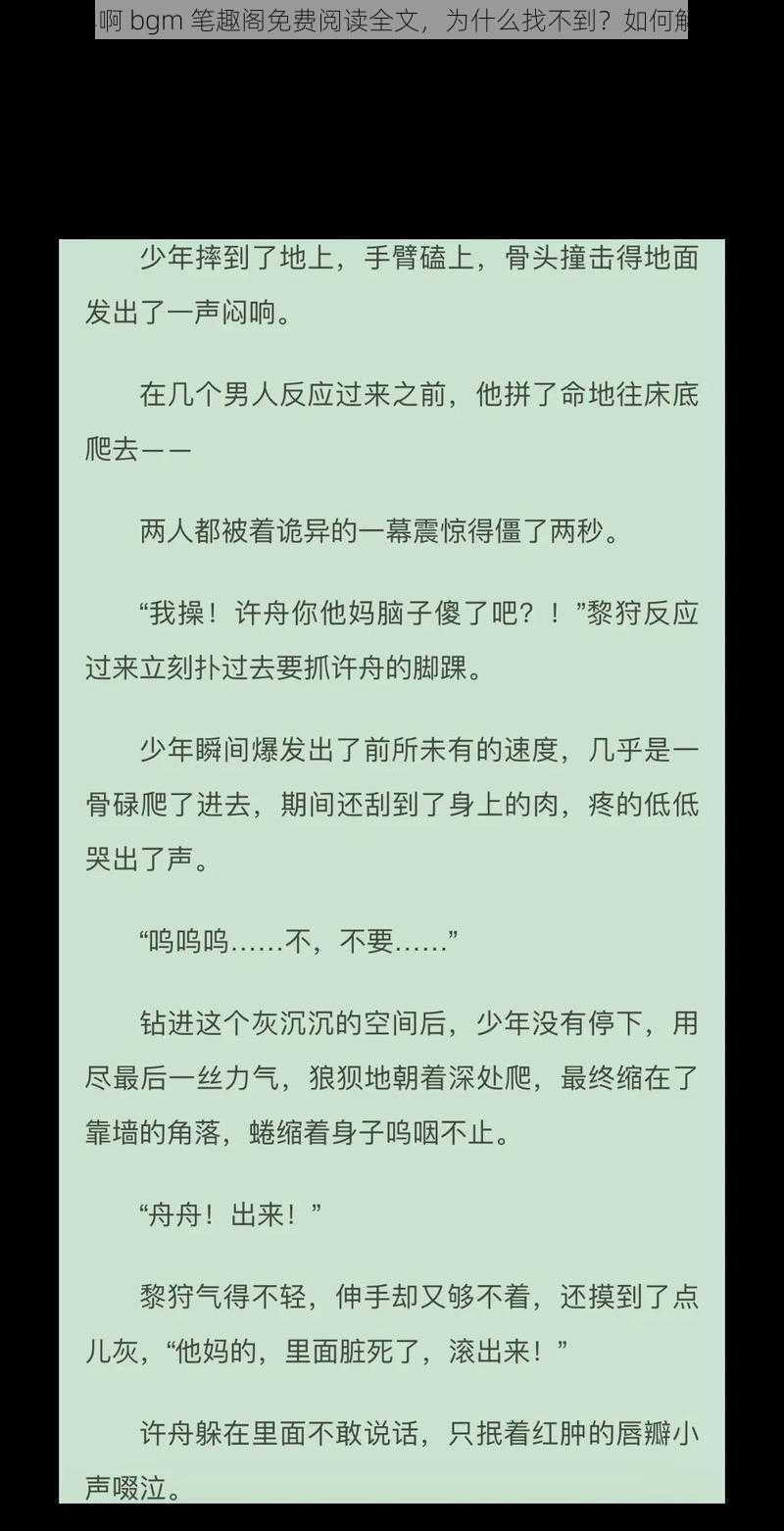 少年啊 bgm 笔趣阁免费阅读全文，为什么找不到？如何解决？