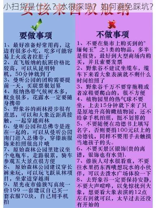 小扫货是什么？水很深吗？如何避免踩坑？