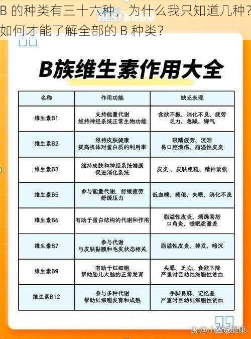 B 的种类有三十六种，为什么我只知道几种？如何才能了解全部的 B 种类？