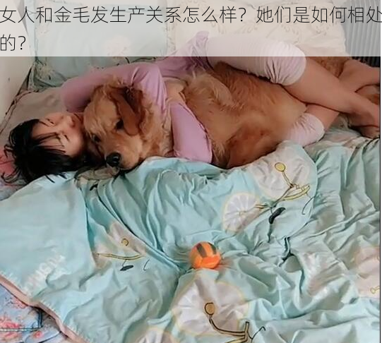 女人和金毛发生产关系怎么样？她们是如何相处的？