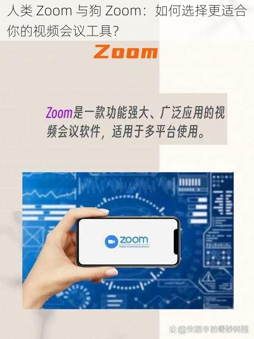 人类 Zoom 与狗 Zoom：如何选择更适合你的视频会议工具？