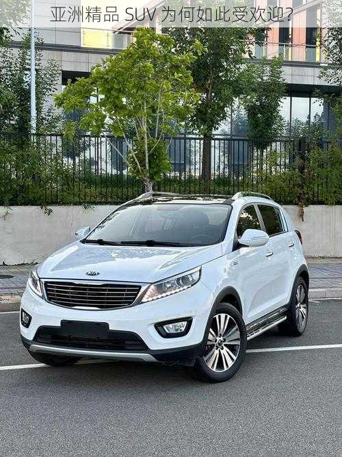 亚洲精品 SUV 为何如此受欢迎？