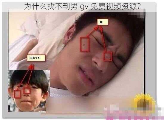 为什么找不到男 gv 免费视频资源？