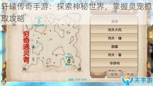 轩辕传奇手游：探索神秘世界，掌握灵宠抓取攻略