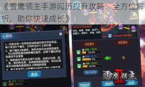 《雪鹰领主手游阅历提升攻略：全方位解析，助你快速成长》