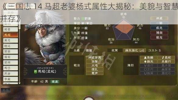 《三国志 14 马超老婆杨式属性大揭秘：美貌与智慧并存》