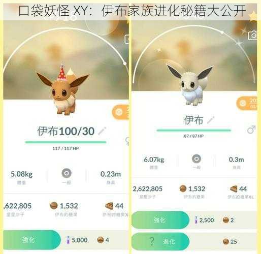 口袋妖怪 XY：伊布家族进化秘籍大公开