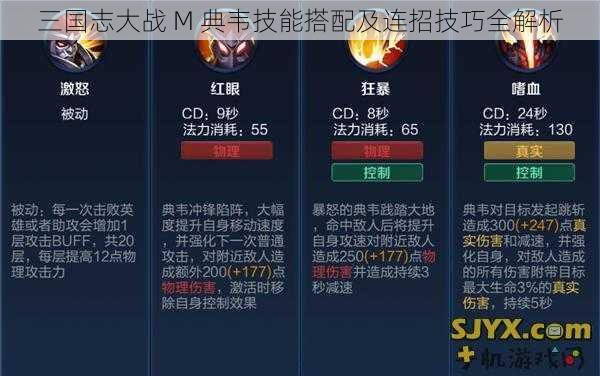 三国志大战 M 典韦技能搭配及连招技巧全解析