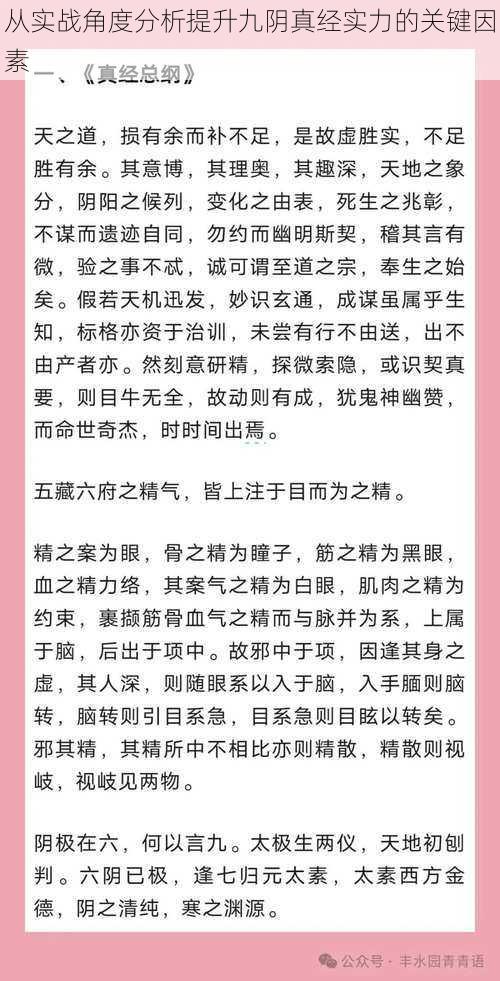 从实战角度分析提升九阴真经实力的关键因素