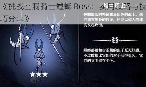 《挑战空洞骑士螳螂 Boss：实用攻略与技巧分享》